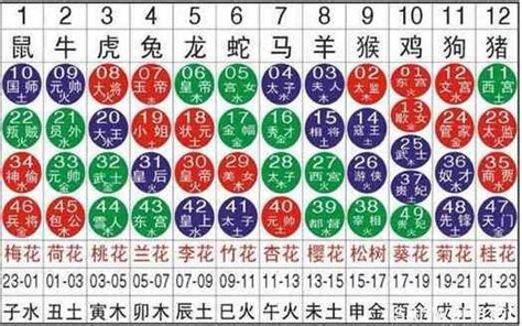 屬雞2023幸運色|十二生肖「幸運數字、幸運顏色、大吉方位」！跟著做。